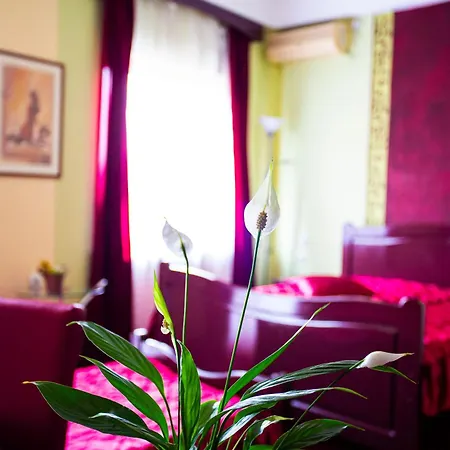 Frühstückspension Tamaris